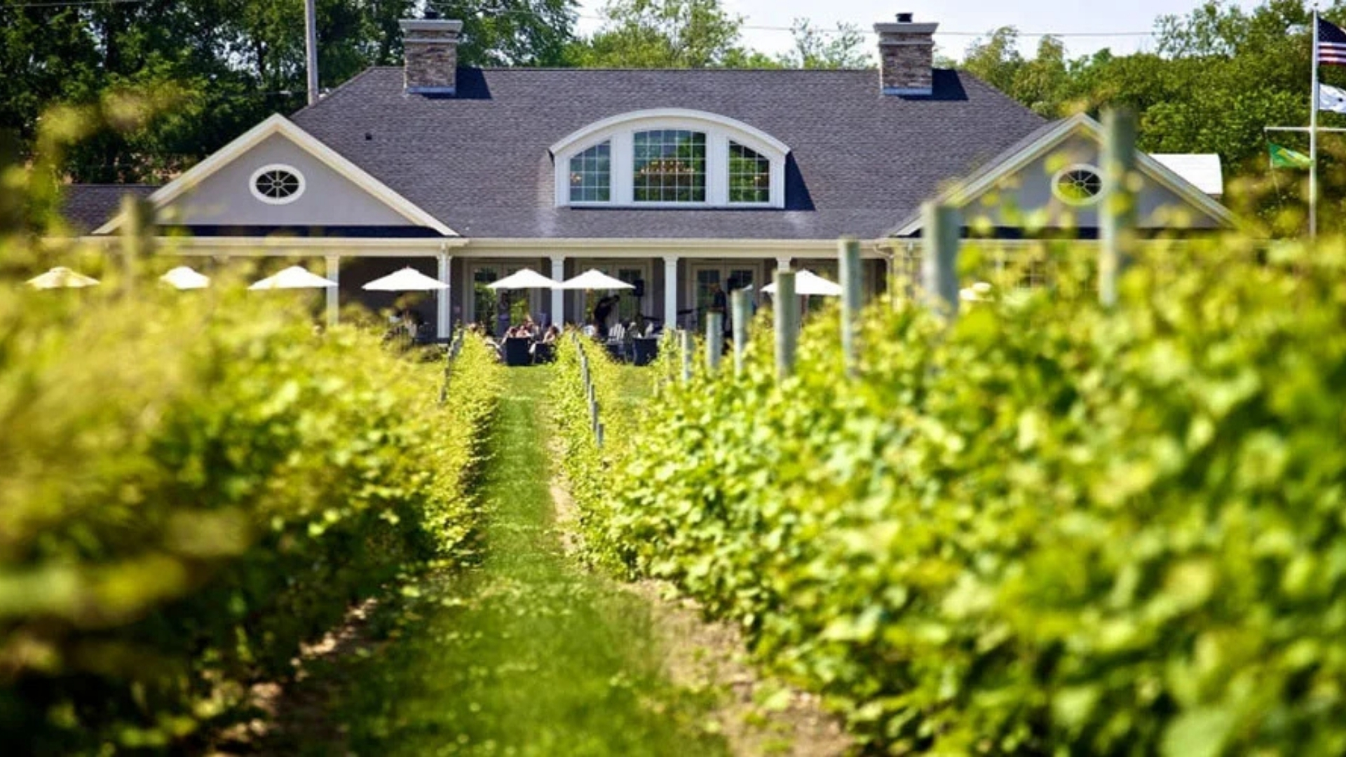 RGNY-Vineyards