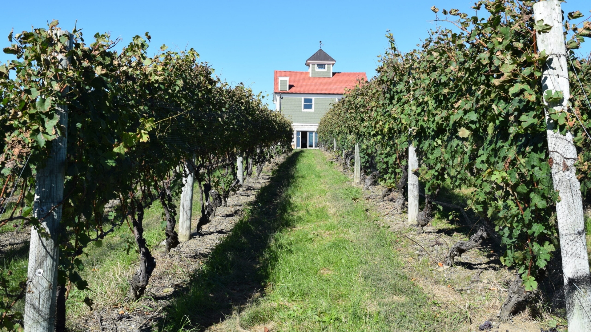 Benmarl-Winery