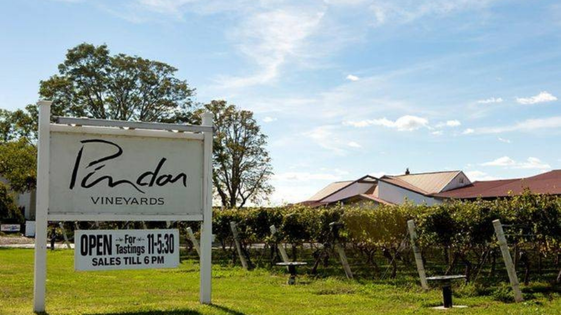 Duckwalk-Vineyards